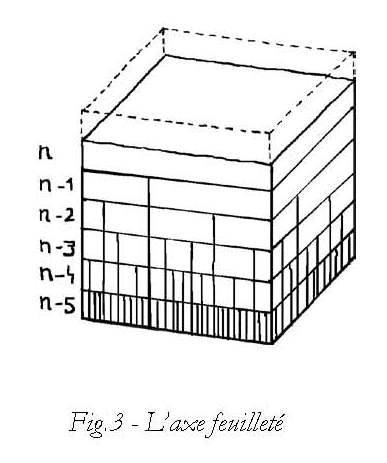 Figure 3 - L'axe feuilleté